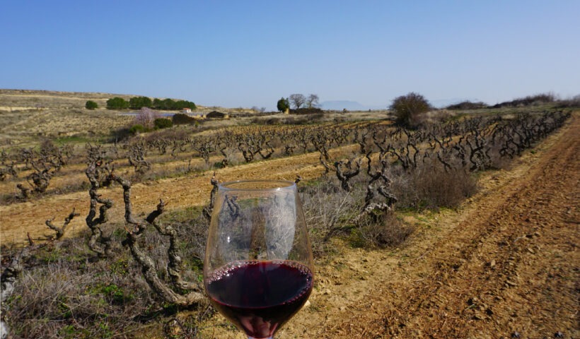 Viñedos Bodegas Tarón